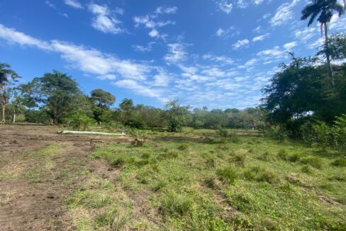 WhatsApp Image 2025-03-14 at 3.32.01 PM (1)