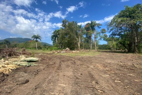 WhatsApp Image 2025-03-14 at 3.32.01 PM (3)