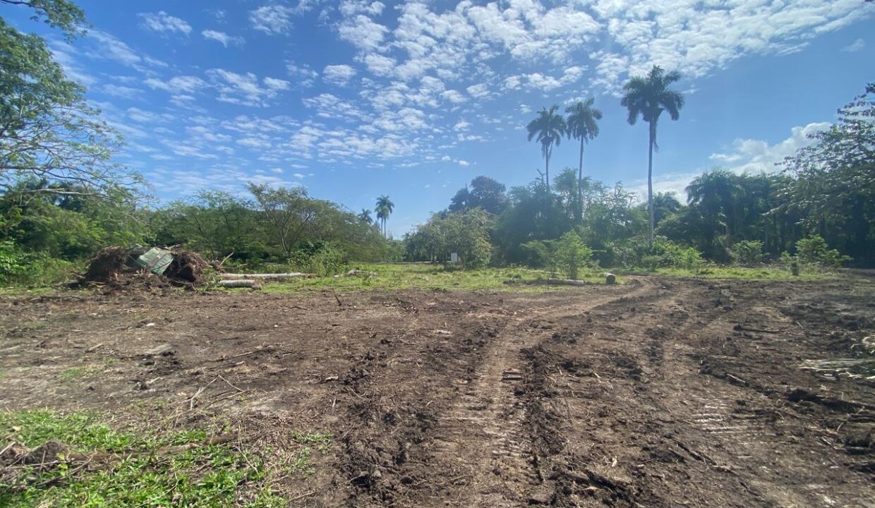 WhatsApp Image 2025-03-14 at 3.32.01 PM (6)