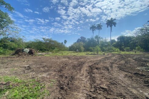 WhatsApp Image 2025-03-14 at 3.32.01 PM (6)