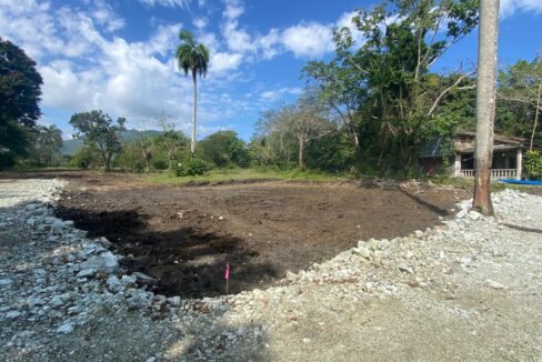 WhatsApp Image 2025-03-14 at 3.32.01 PM (7)