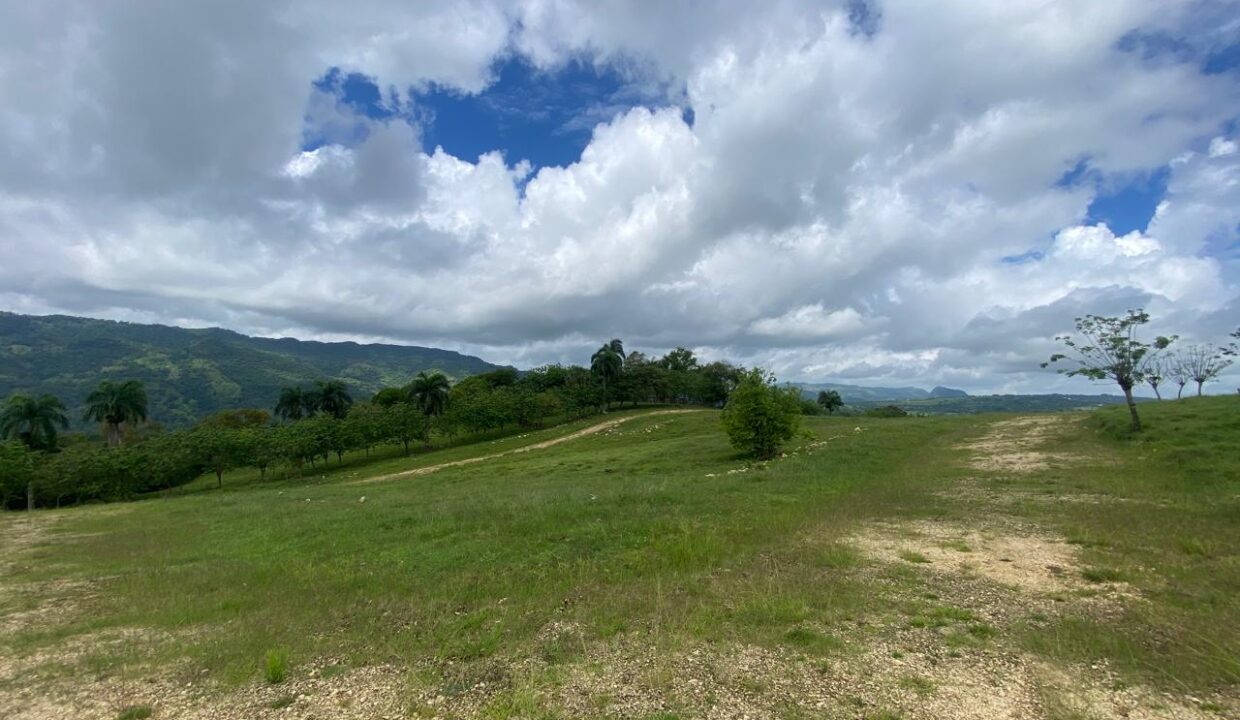 WhatsApp Image 2025-05-16 at 7.14.34 PM (11)