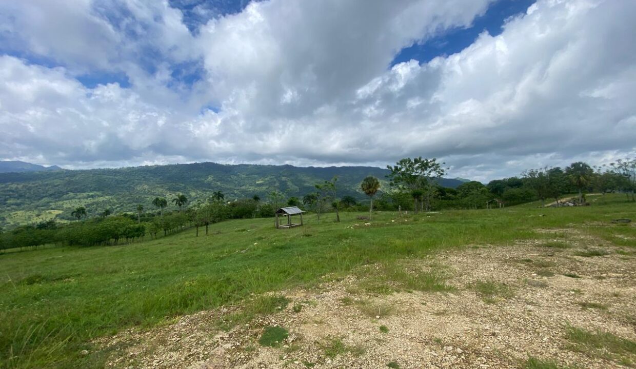 WhatsApp Image 2025-05-16 at 7.14.34 PM (12)