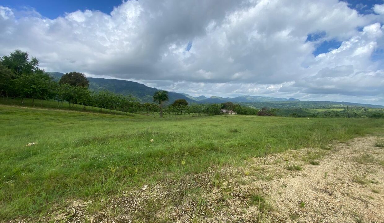 WhatsApp Image 2025-05-16 at 7.14.34 PM (6)