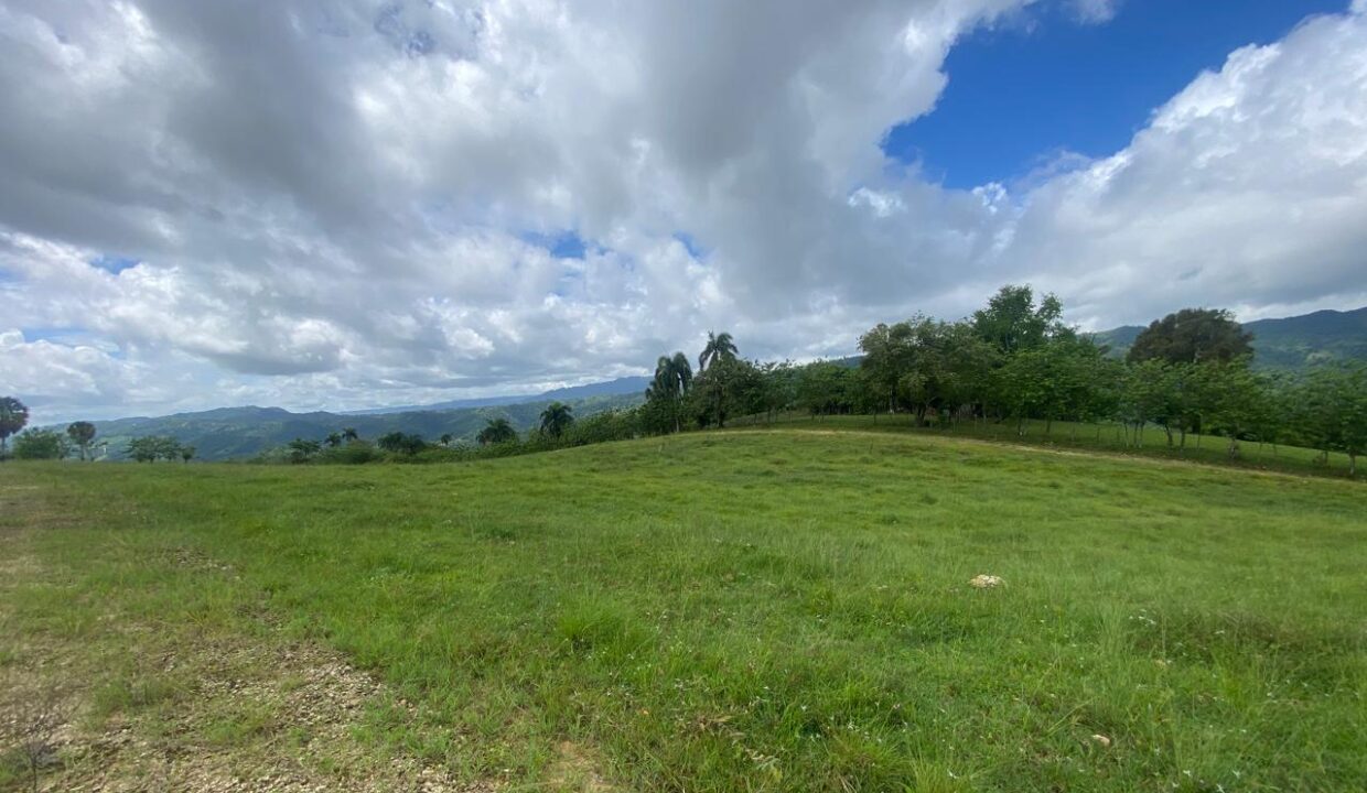 WhatsApp Image 2025-05-16 at 7.14.34 PM (8)