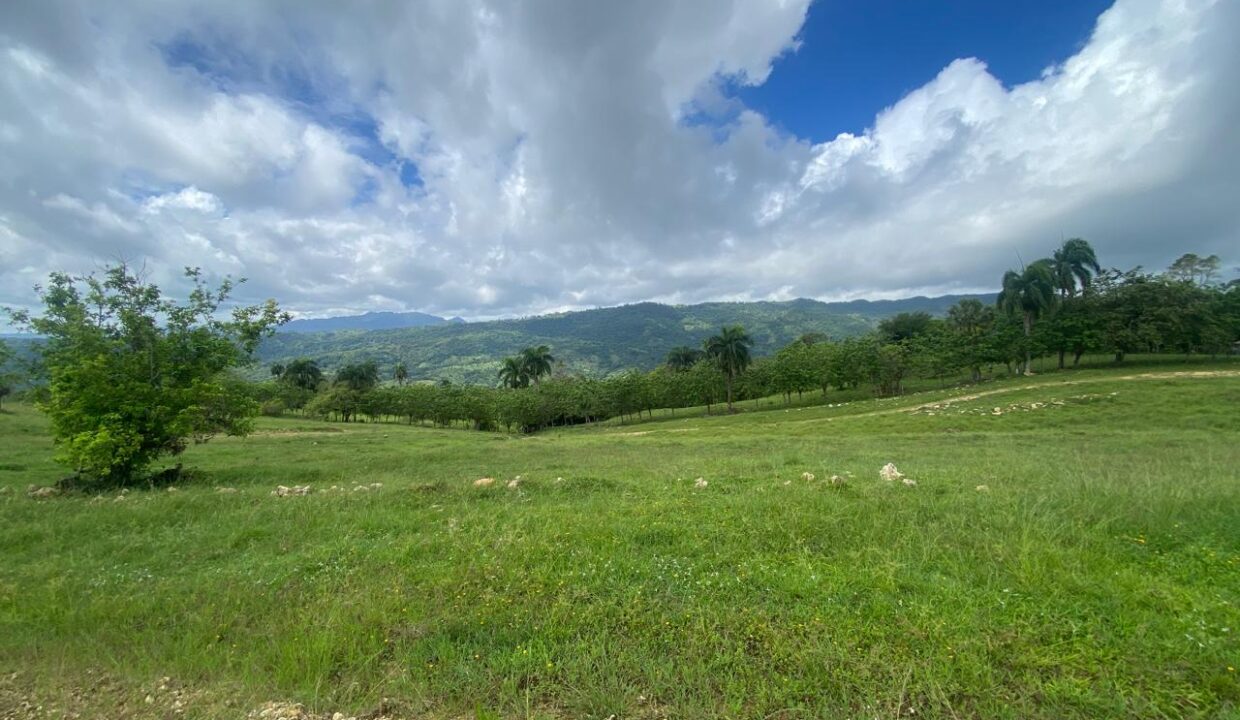 WhatsApp Image 2025-05-16 at 7.14.34 PM (9)