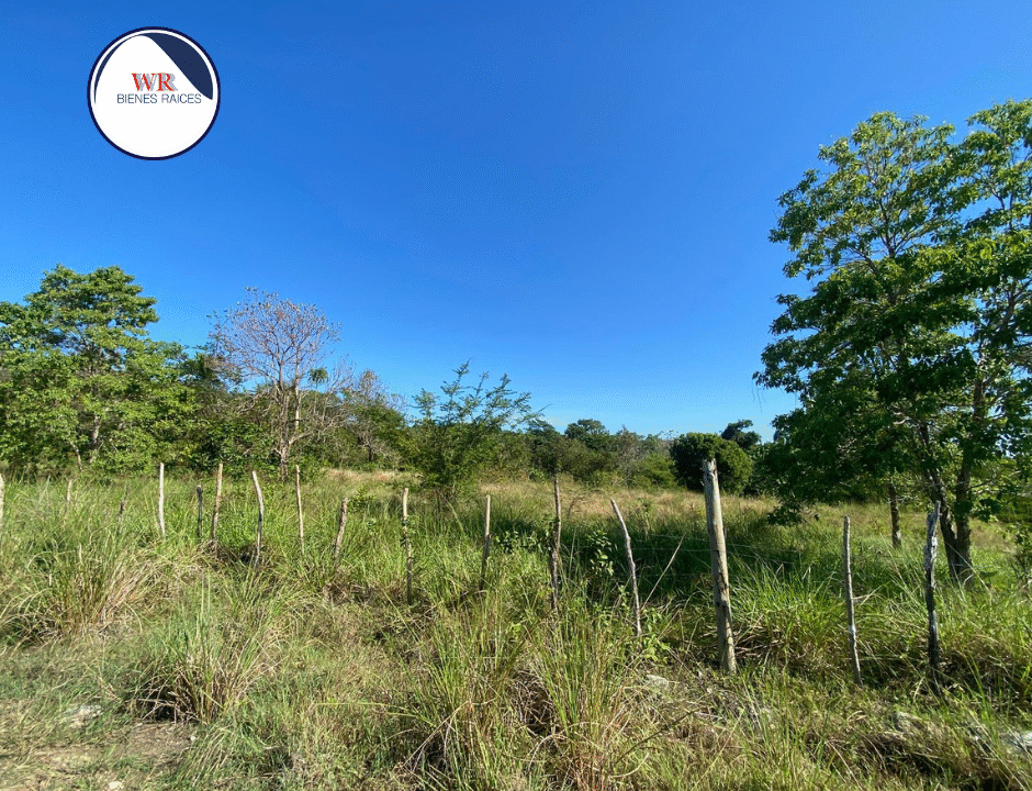 Copia de Copia de Copia de Sin título (Post de Facebook) (19)