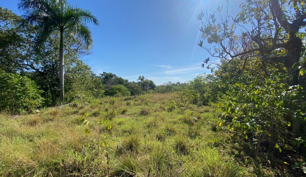 WhatsApp Image 2025-08-22 at 4.54.01 PM (1)