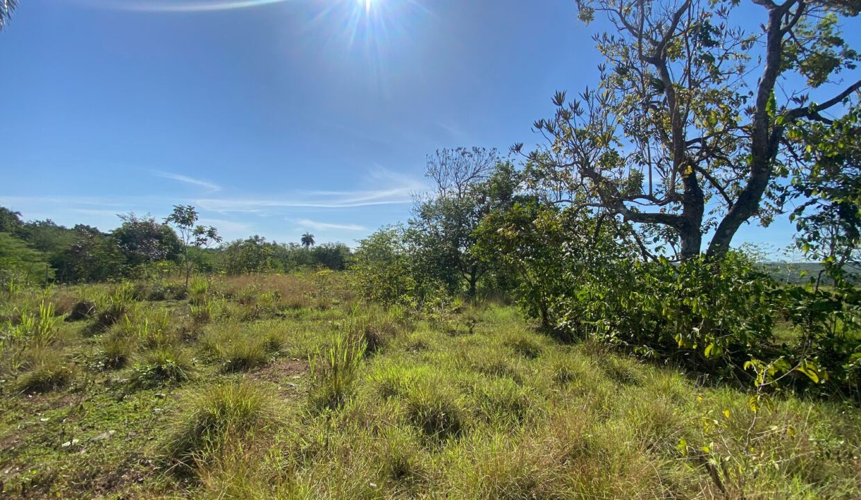 WhatsApp Image 2025-08-22 at 4.54.01 PM