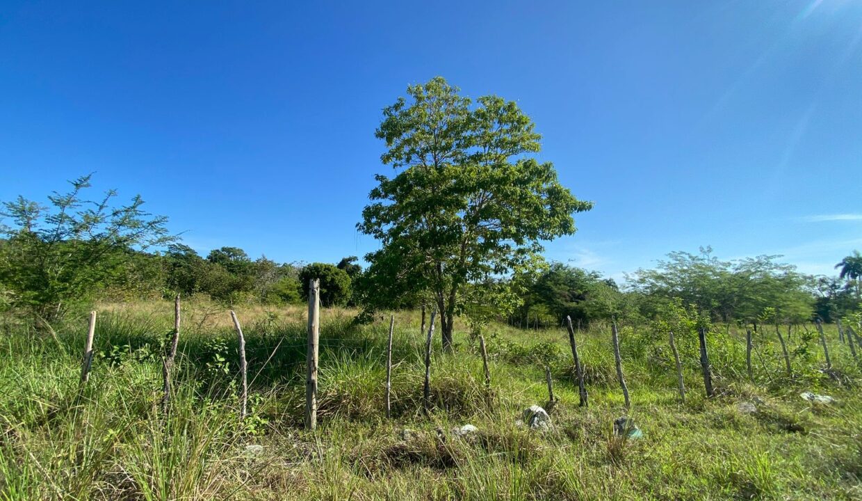 WhatsApp Image 2025-08-22 at 4.54.01 PM (2)