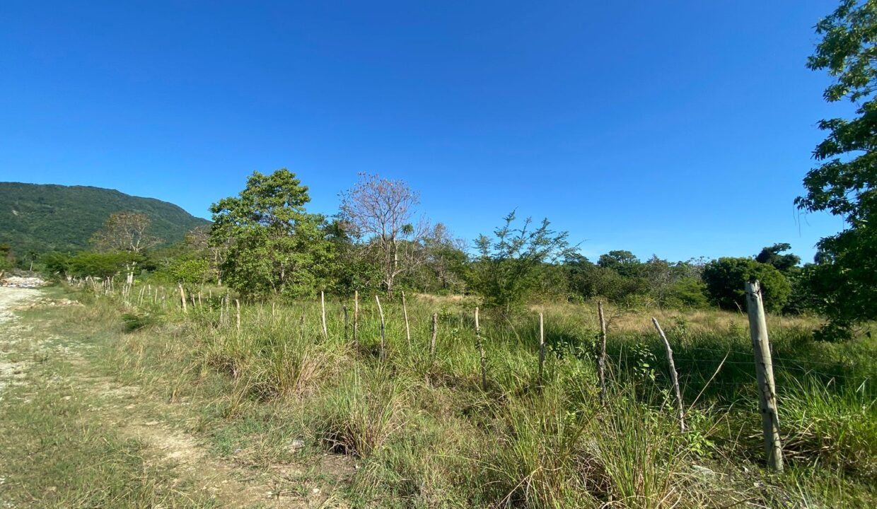 WhatsApp Image 2025-08-22 at 4.54.01 PM (3)