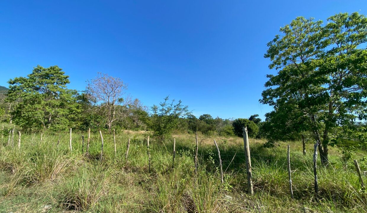 WhatsApp Image 2025-08-22 at 4.54.02 PM