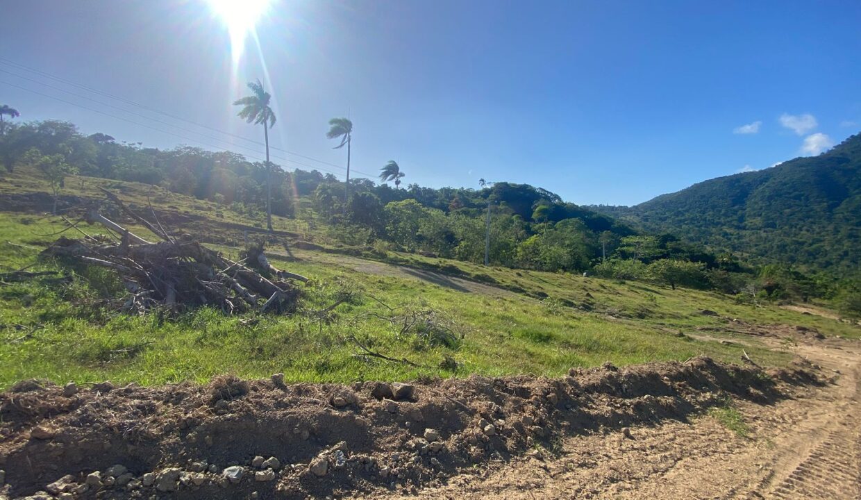 WhatsApp Image 2025-09-12 at 4.50.33 PM (1)