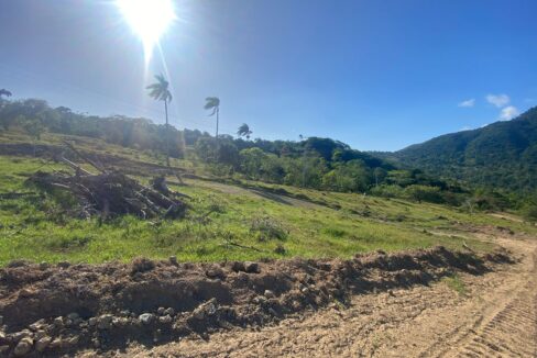 WhatsApp Image 2025-09-12 at 4.50.33 PM (1)