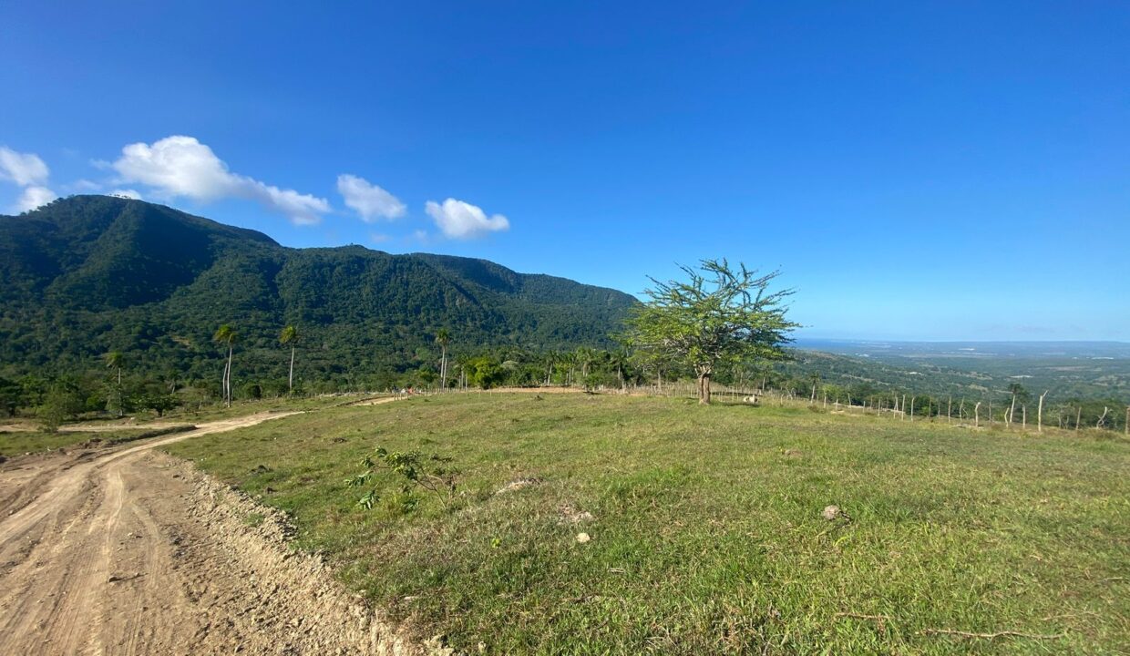 WhatsApp Image 2025-09-12 at 4.50.33 PM (2)