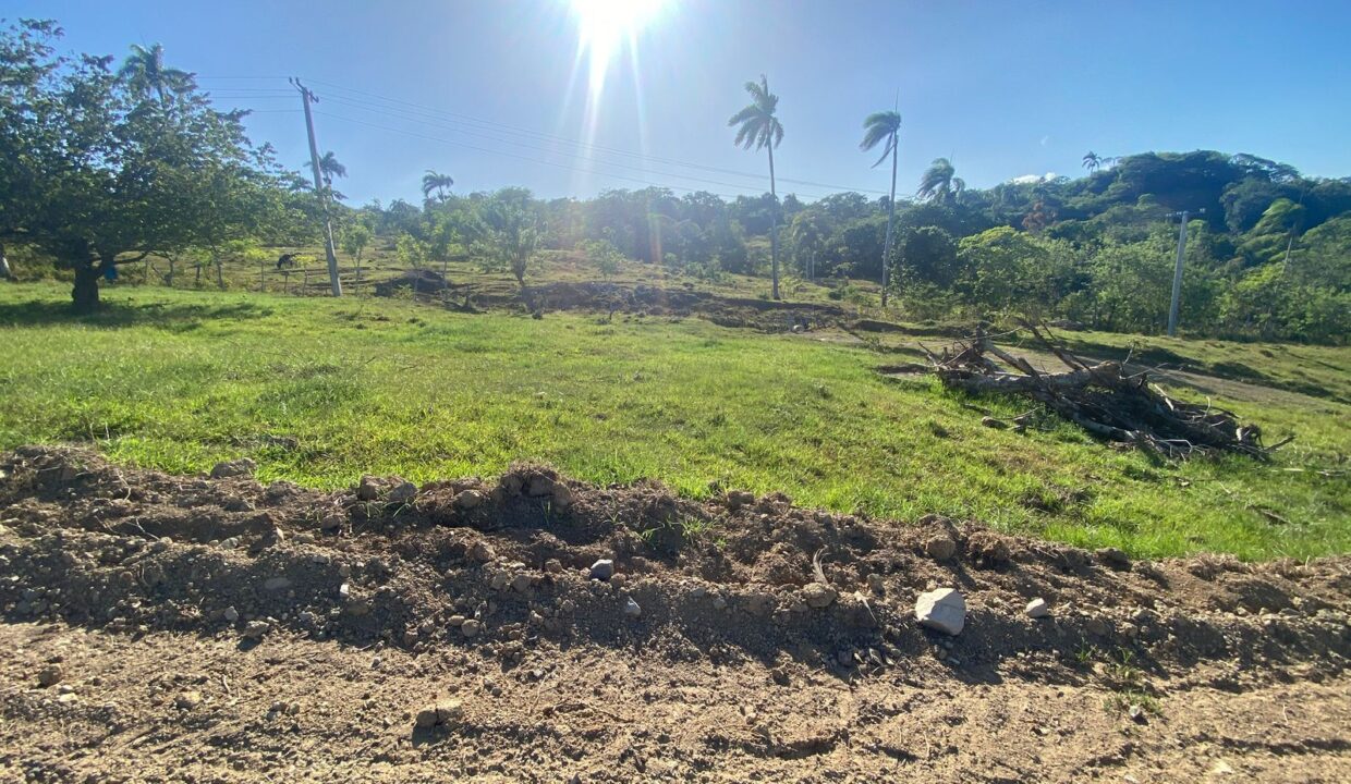 WhatsApp Image 2025-09-12 at 4.50.33 PM (3)