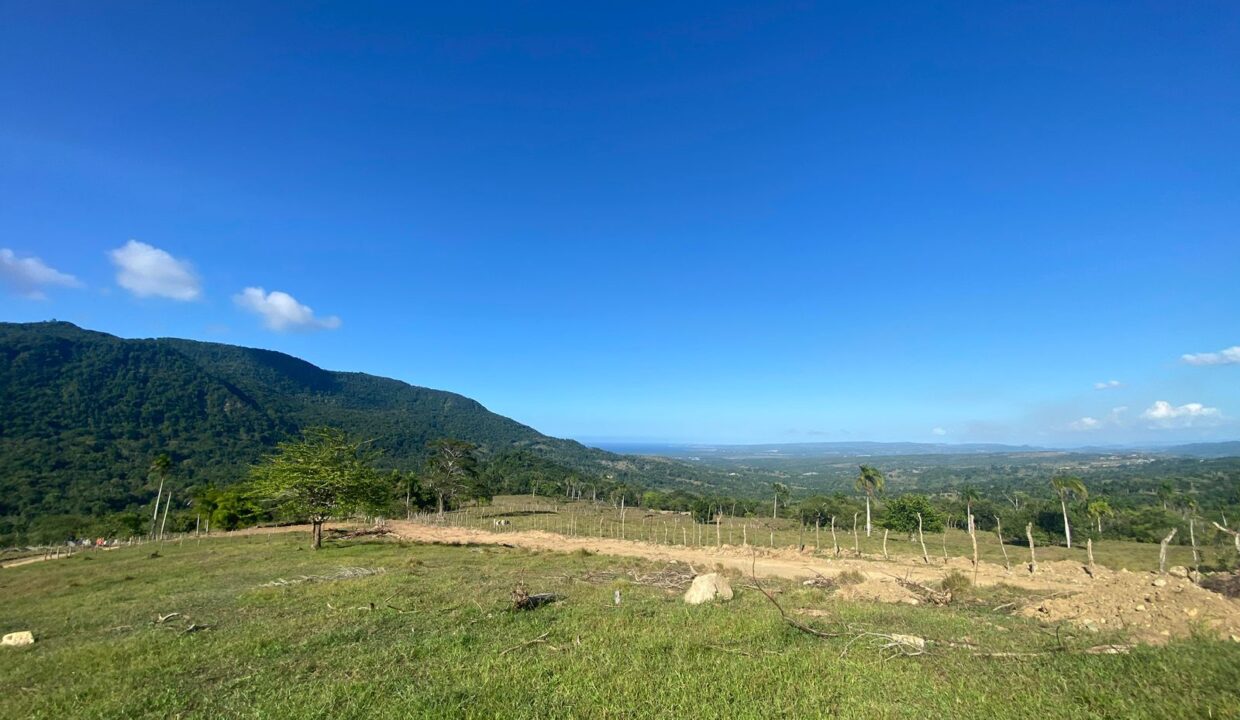 WhatsApp Image 2025-09-12 at 4.50.33 PM (4)