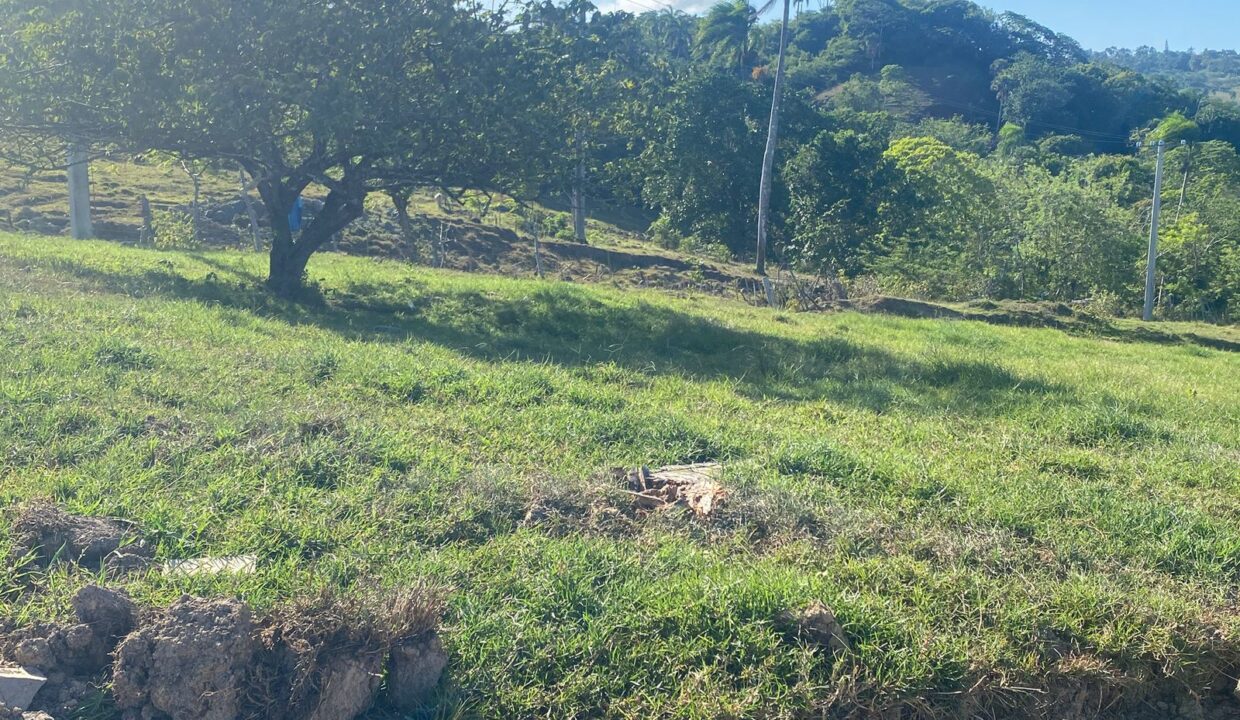 WhatsApp Image 2025-09-12 at 4.50.34 PM