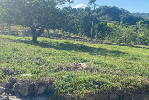 WhatsApp Image 2025-09-12 at 4.50.34 PM