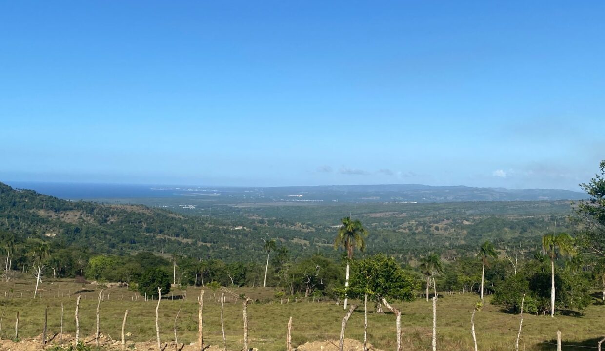 WhatsApp Image 2025-09-12 at 4.50.35 PM